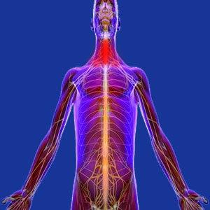 Cancer neck pain