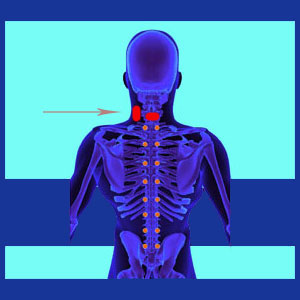 Cervical endoscopic discectomy
