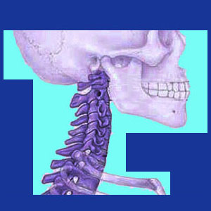 Cervical lordosis