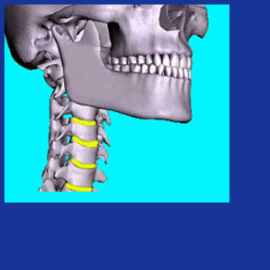 reversed cervical curve pillow