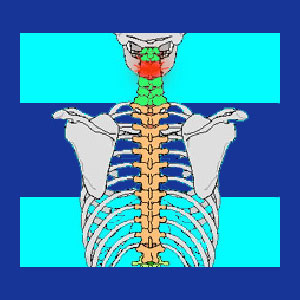 Upper neck pain